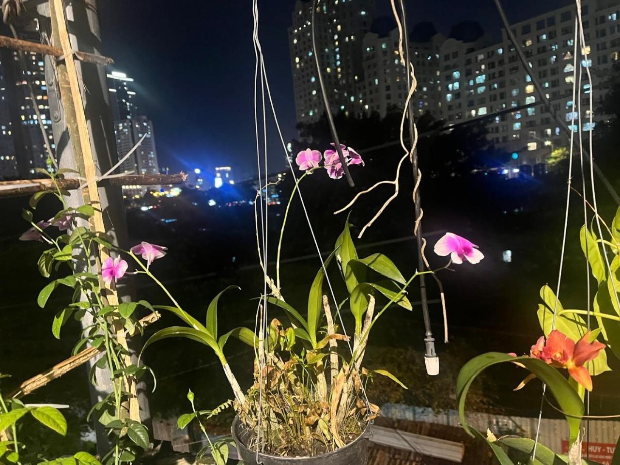 May House Binhthanh Хошимин Экстерьер фото